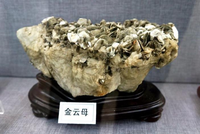 福建海边出现神秘金片，遭渔民哄抢一空，专家调查后：金片不简单