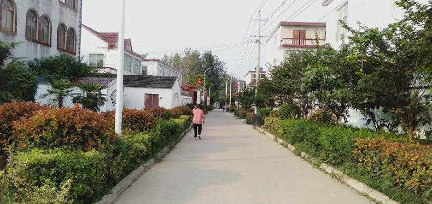 三农金融,农村金融发展新模式