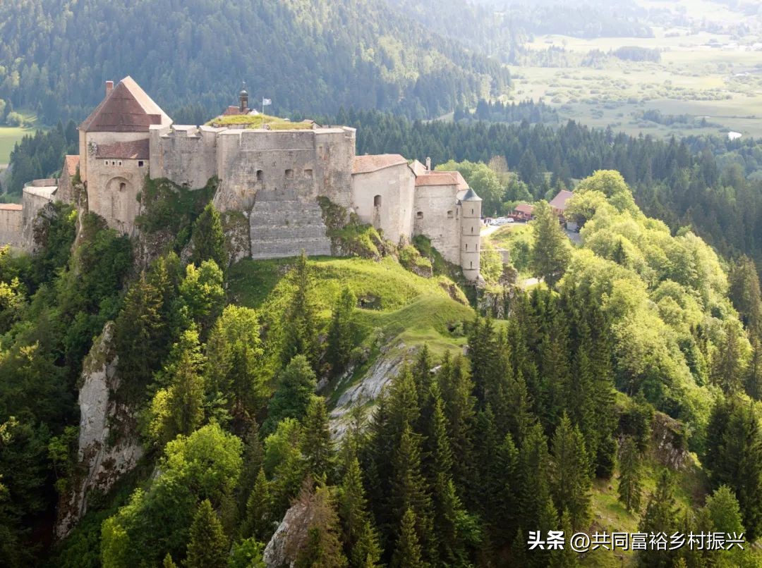 2023年全国乡村振兴优秀案例,乡村振兴典型案例5000字材料