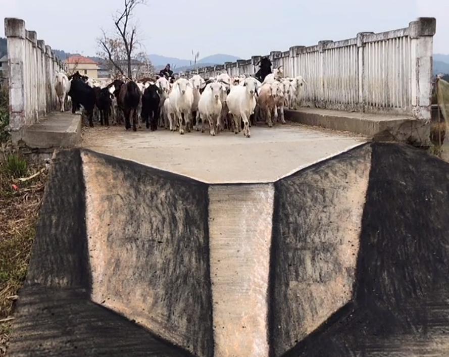 震惊全网的“民间奇人”：农村小伙做蛋糕火出国，马云都得排队买