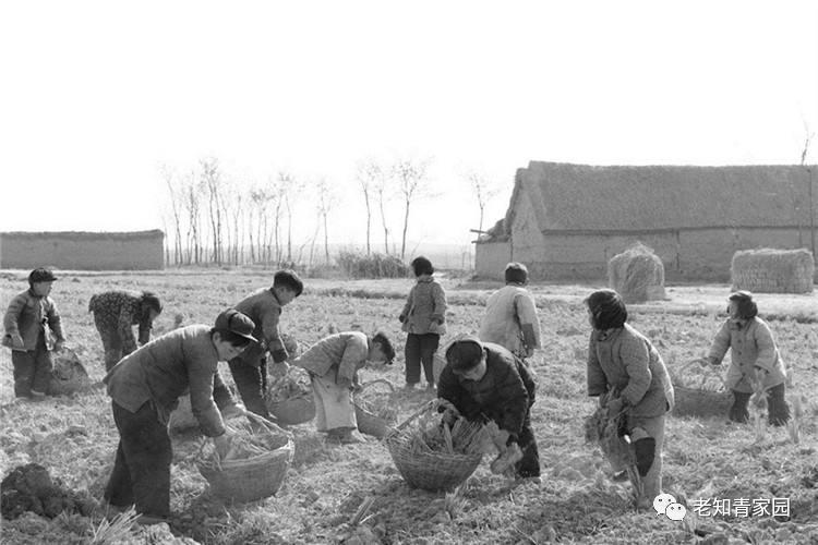 60年代中国人的生活视频,60年代生活记录完整版