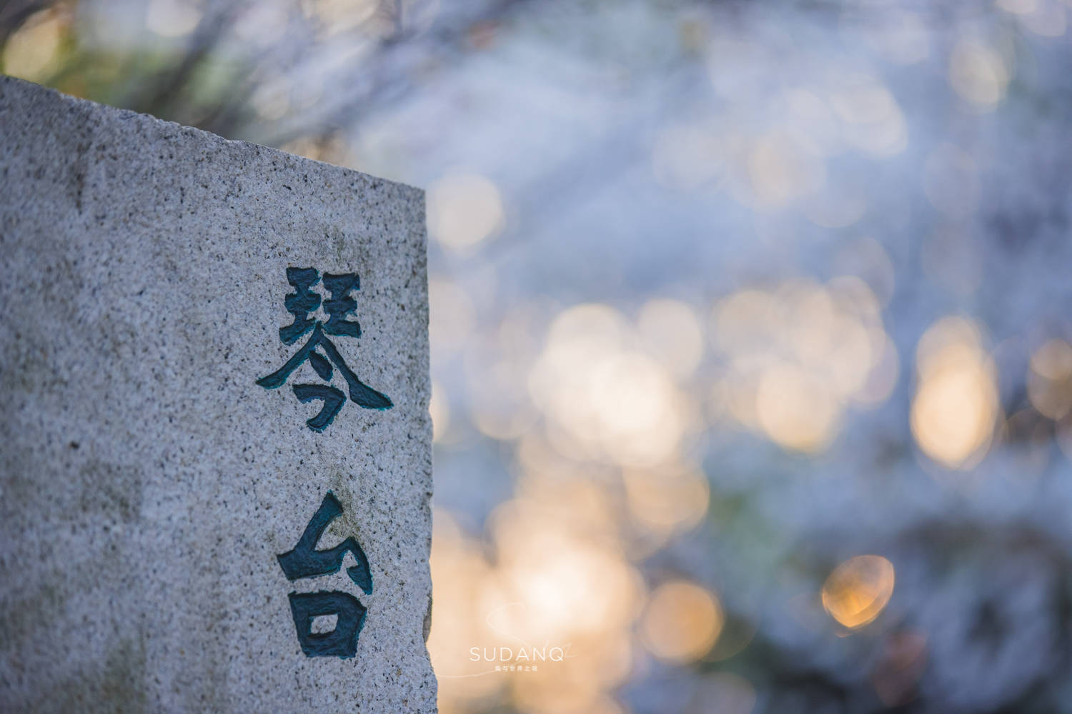带你看武汉城建有多震撼,武汉未来城建效果图