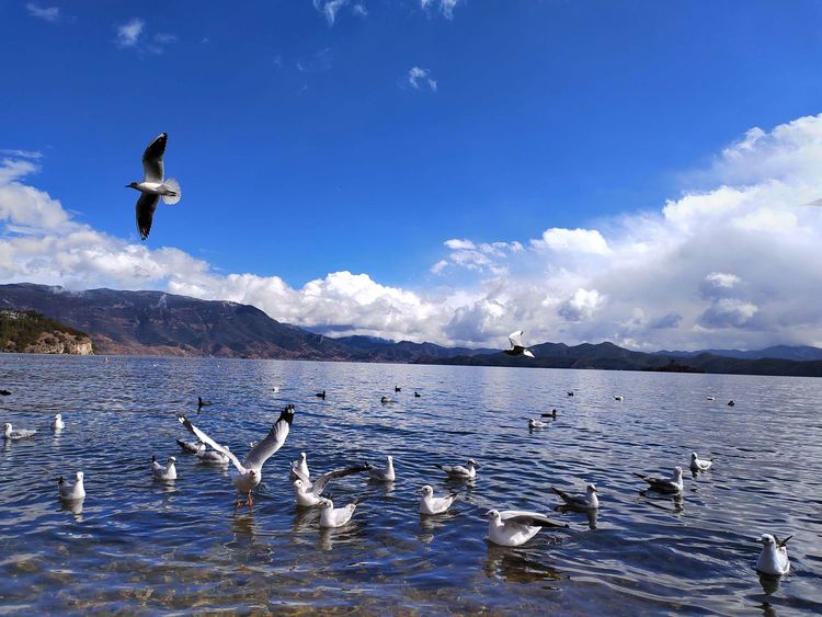 探秘东方女儿国,东方女儿国泸沽湖完整视频