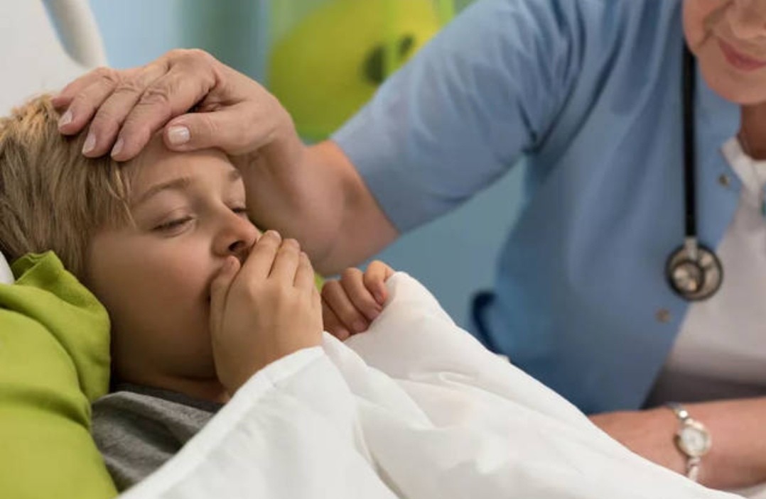 牛肉是致癌还是营养,牛肉是好还是坏吃多是否会致癌