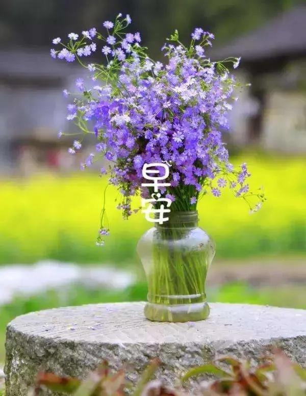 朋友圈的初衷,不要忘自己的初心的朋友圈