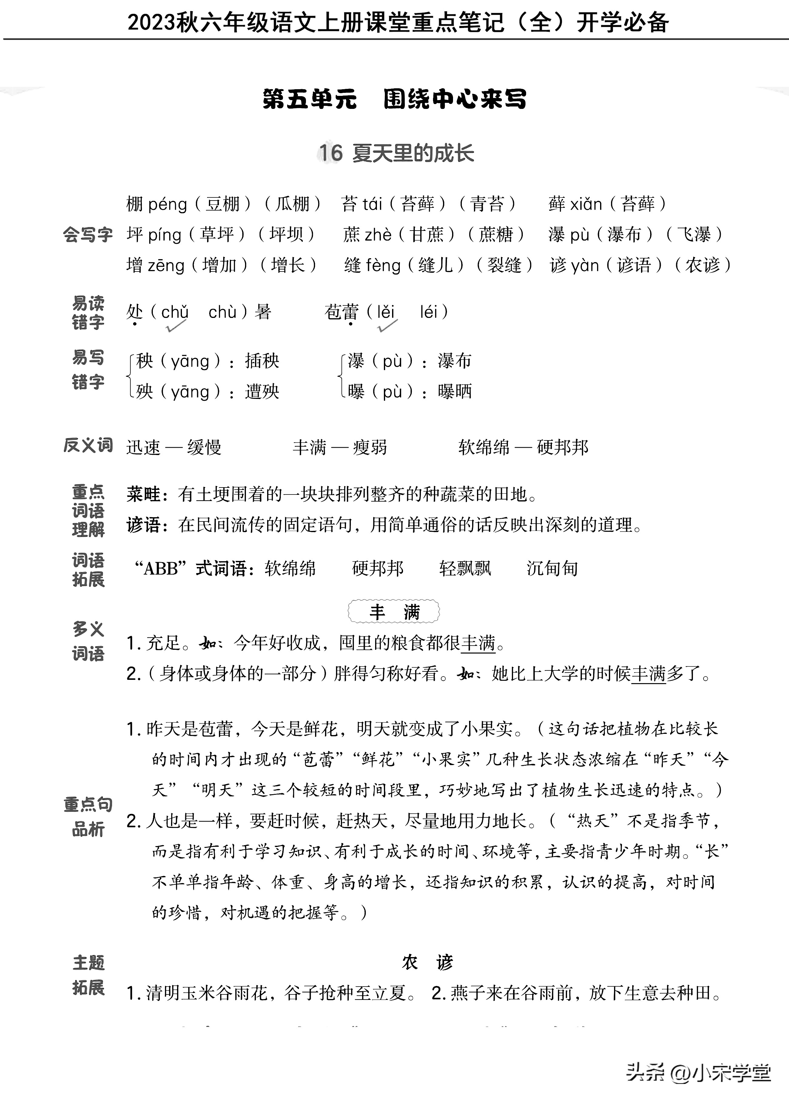 六年级上册语文人教版总复习考点,六年级上册语文重点知识总结2021