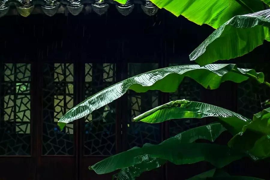 「新梦文学」同题专刊：东边日出西边雨】