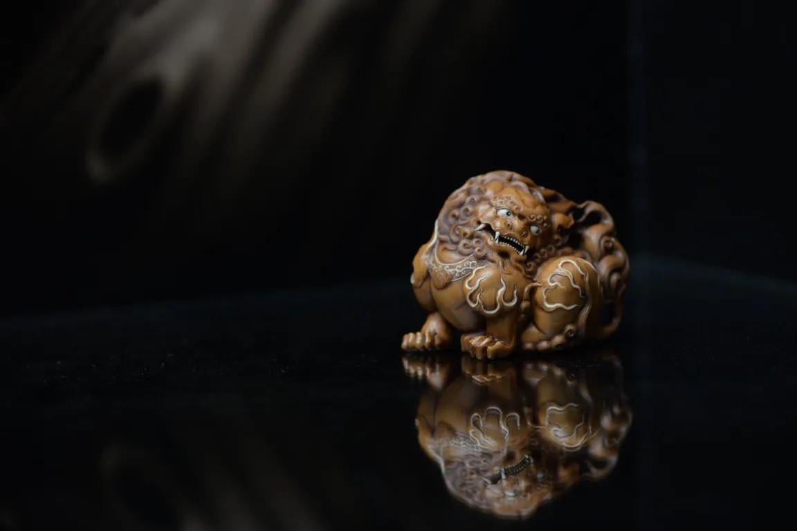 松狮犬的寿命有多长,松狮犬