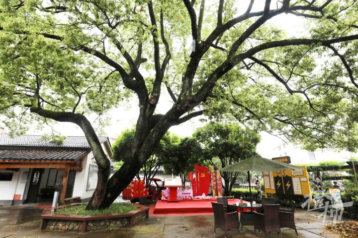 “五一”就在眼前，桂花村有点小焦虑：会有人来玩不？村里能火起来不？