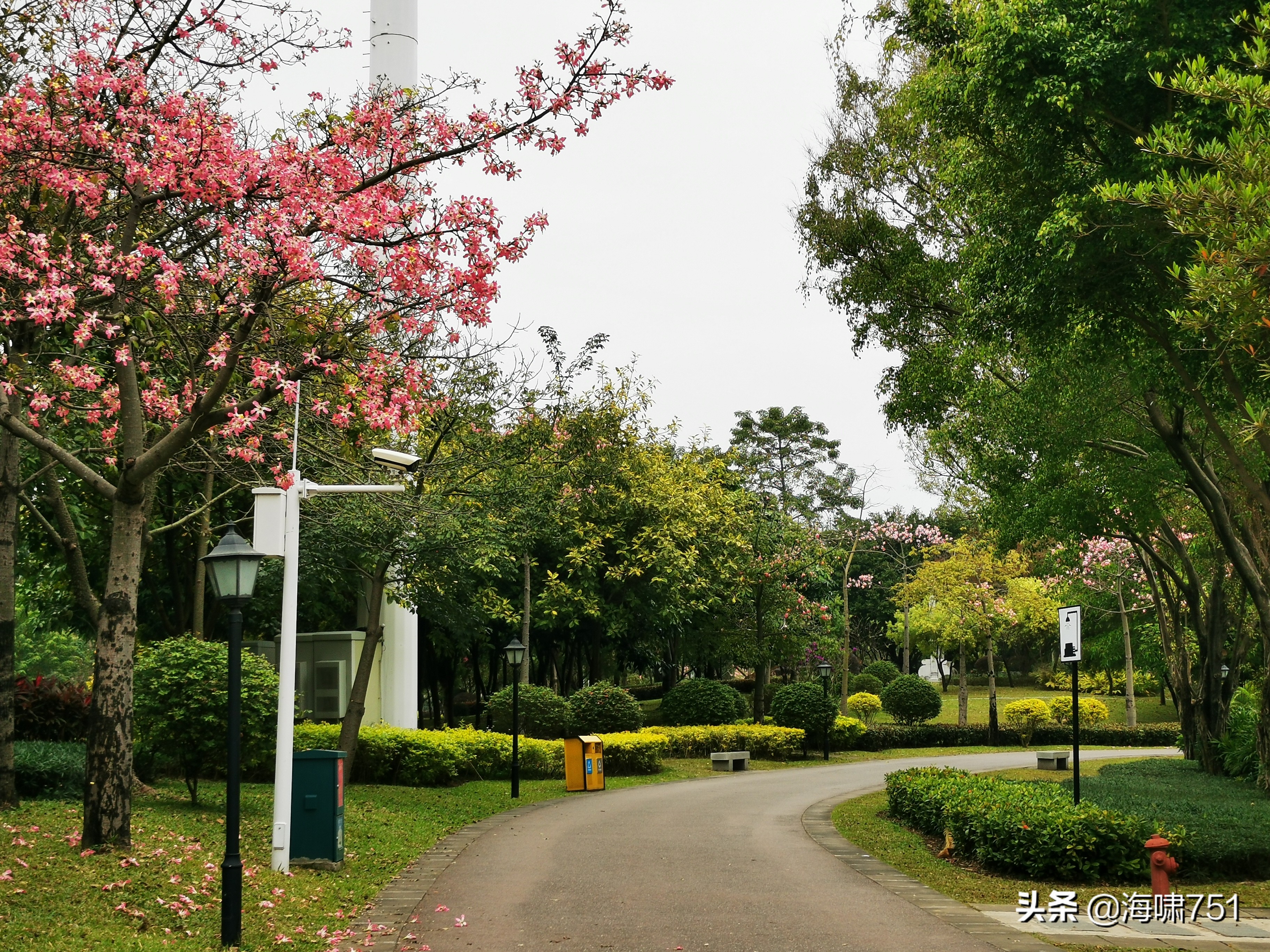 陈田花园全景图,陈田花园照片