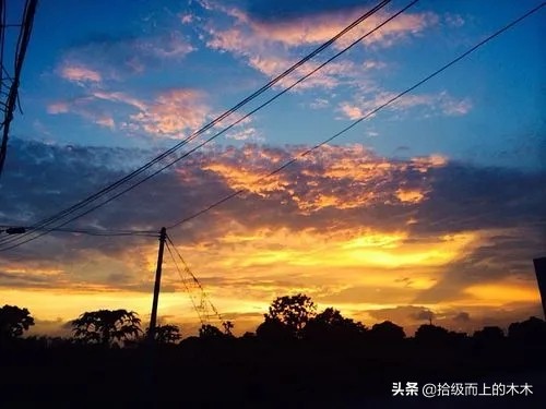 陈二狗乡村创业史四十七集,陈二狗乡村创业史第一百九十六集