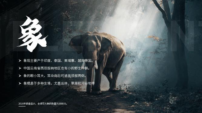 “对不起，这一页PPT我实在不会配图了？”