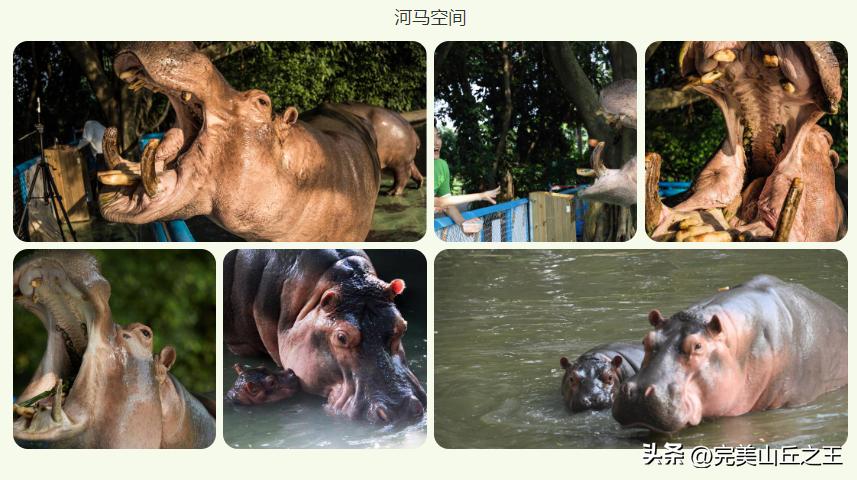 广州5a景区正佳广场,广州5a景点排名大全