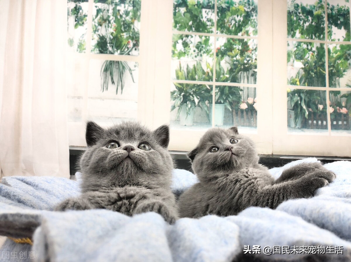 鐚挭鍙戞儏浜嗗彲浠ユ礂婢″墐姣涘悧,鍏尗鍜墐姣涘悗鍙戞儏鎬庝箞缂撹В