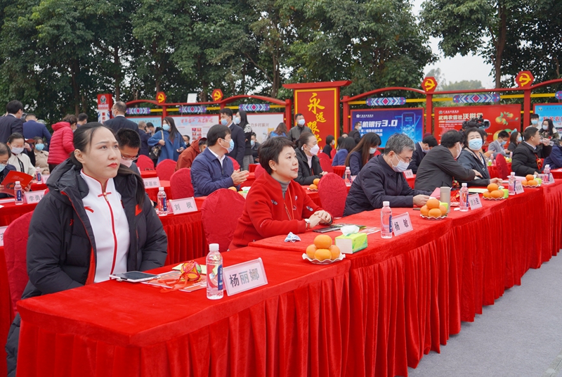 乡村振兴武鸣沃柑,第一书记带动了武鸣沃柑