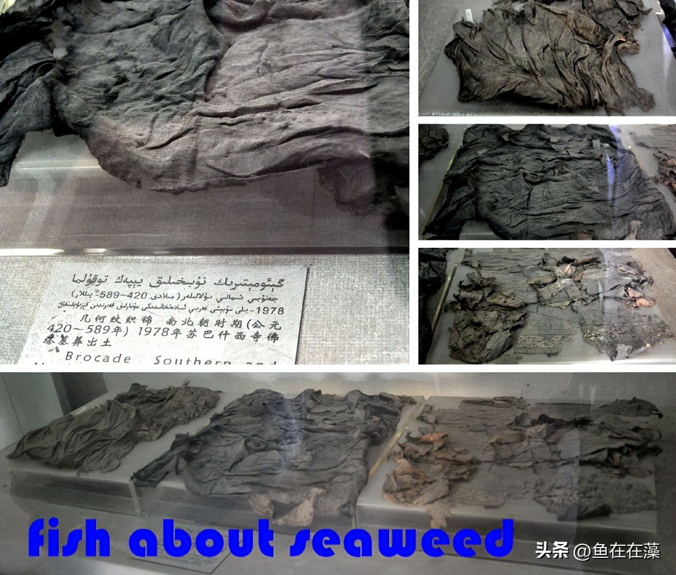 55西进西域·新：库车王府，龟兹文明的橱窗；清代边疆政策范本