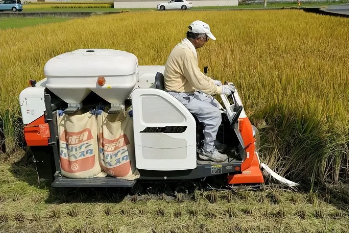 日本人山东租1500亩地的故事 (2006年日本人在山东租50亩地)