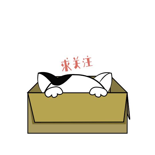 养金毛犬要注意什么事项,决定养狗狗之前需牢记的十条