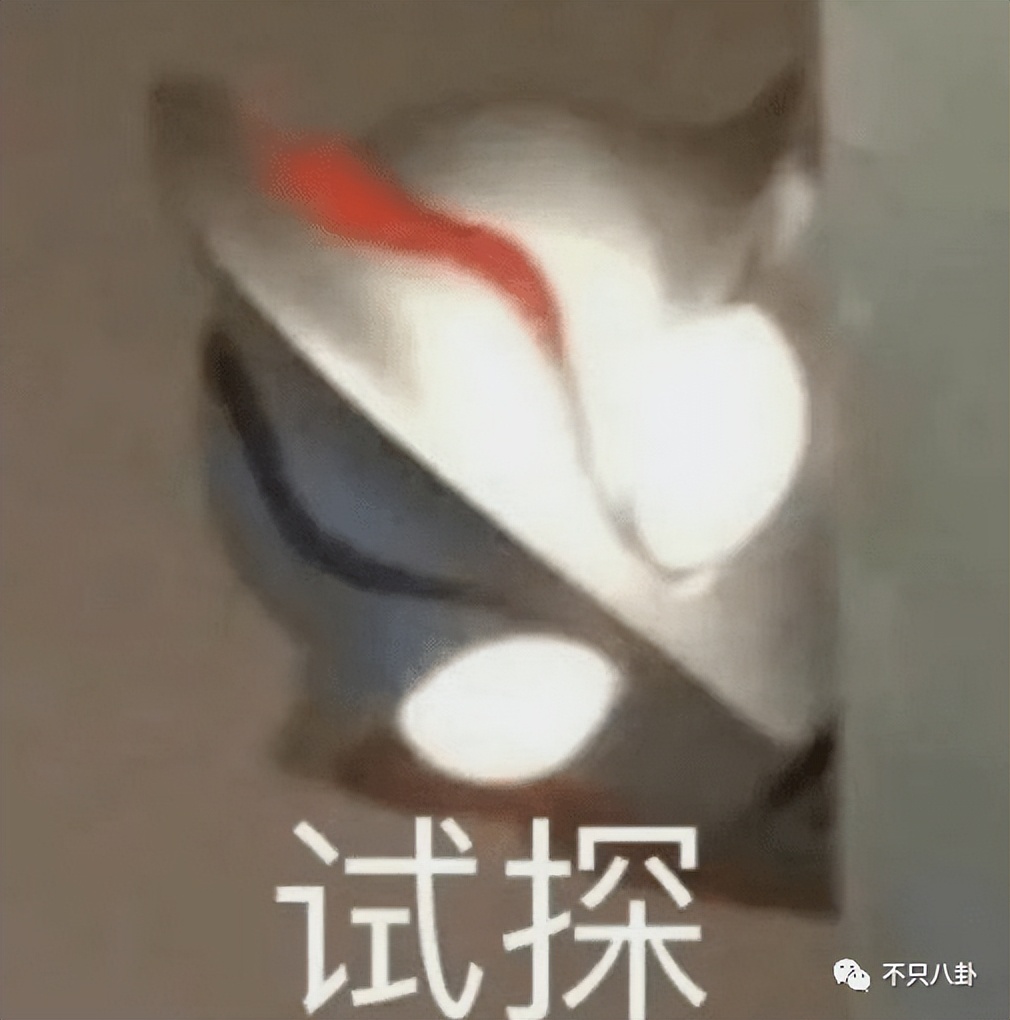 顶级网红逐梦娱乐圈，结果她被骂颜值太普通？