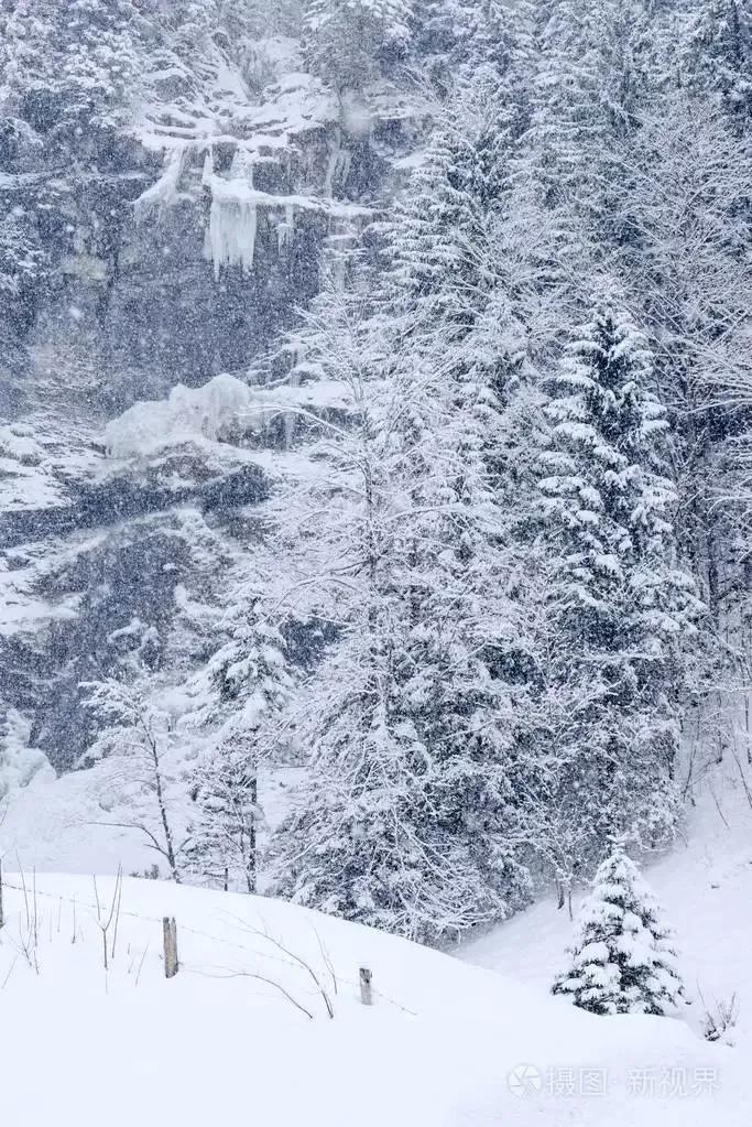飞雪满群山诗句,飞雪满群山歌曲