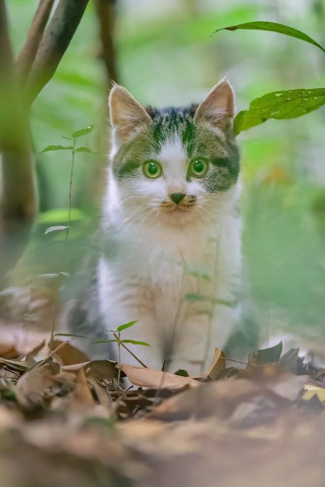 女生个性签名文案,渣男个性签名文案