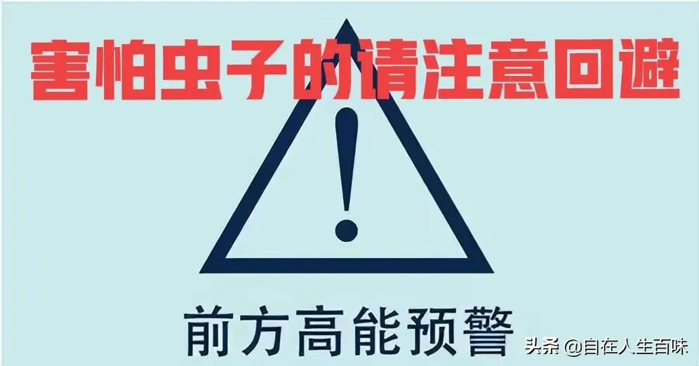夏天常见的虫子外壳硬,农村房子里面常见的虫子有哪些