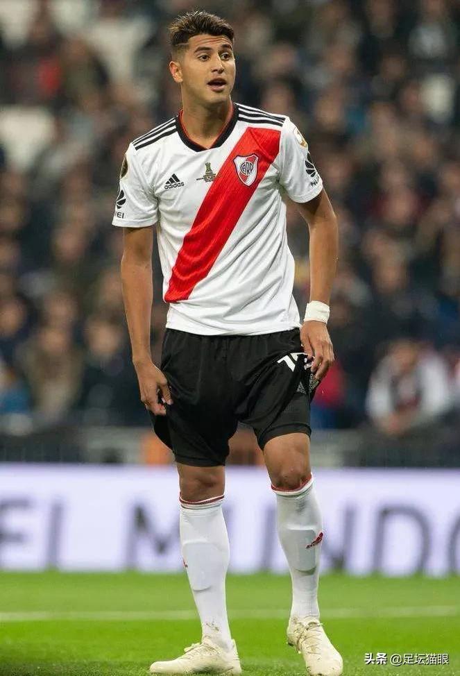 潘帕斯雄鹰阿根廷提前晋级世界杯,潘帕斯雄鹰阿根廷出征世界杯