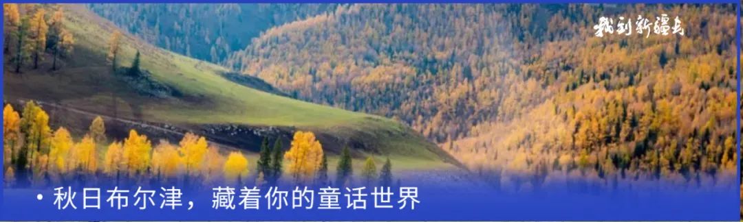 入疆旅游攻略,环疆旅游攻略大全