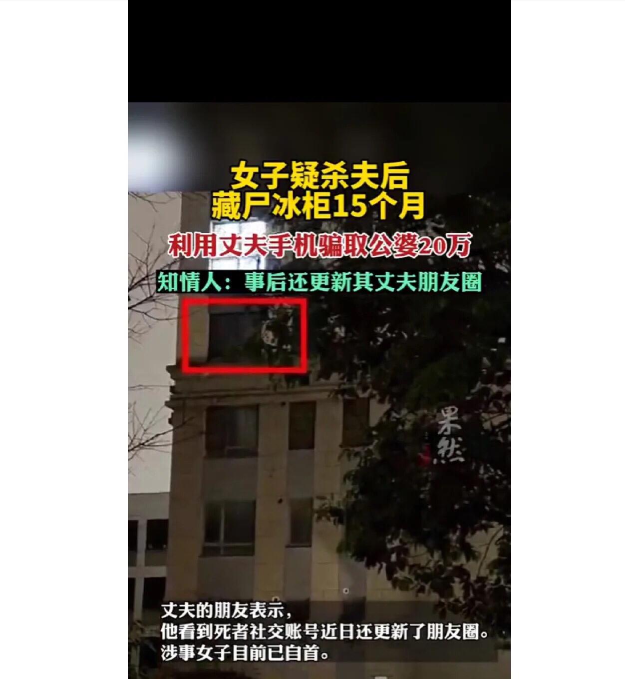 假如伴侣突然买了大冰柜，你该怎么办？