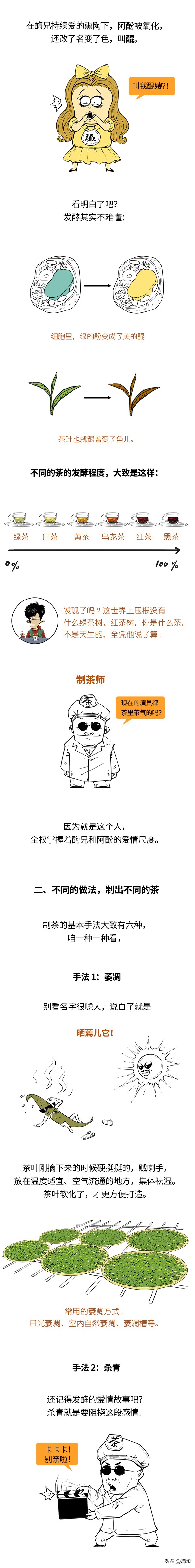 不懂茶的小白如何避坑选茶,茶小白速看新手买茶的八条铁律