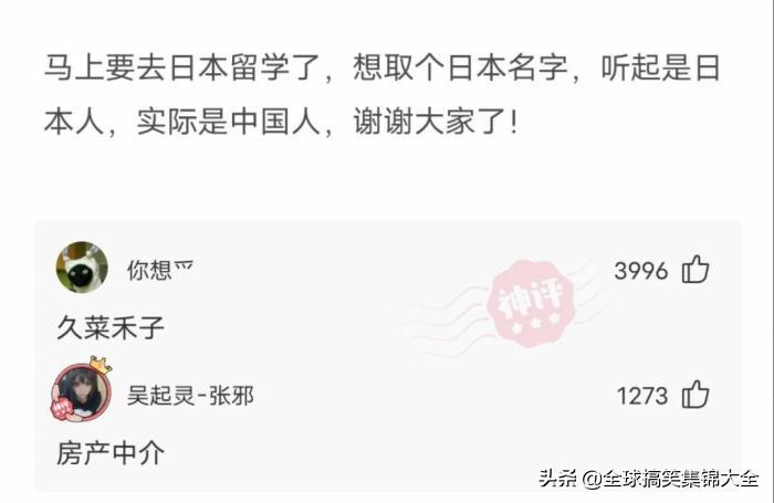 神回复不按套路出牌,神回复答出的都是高手