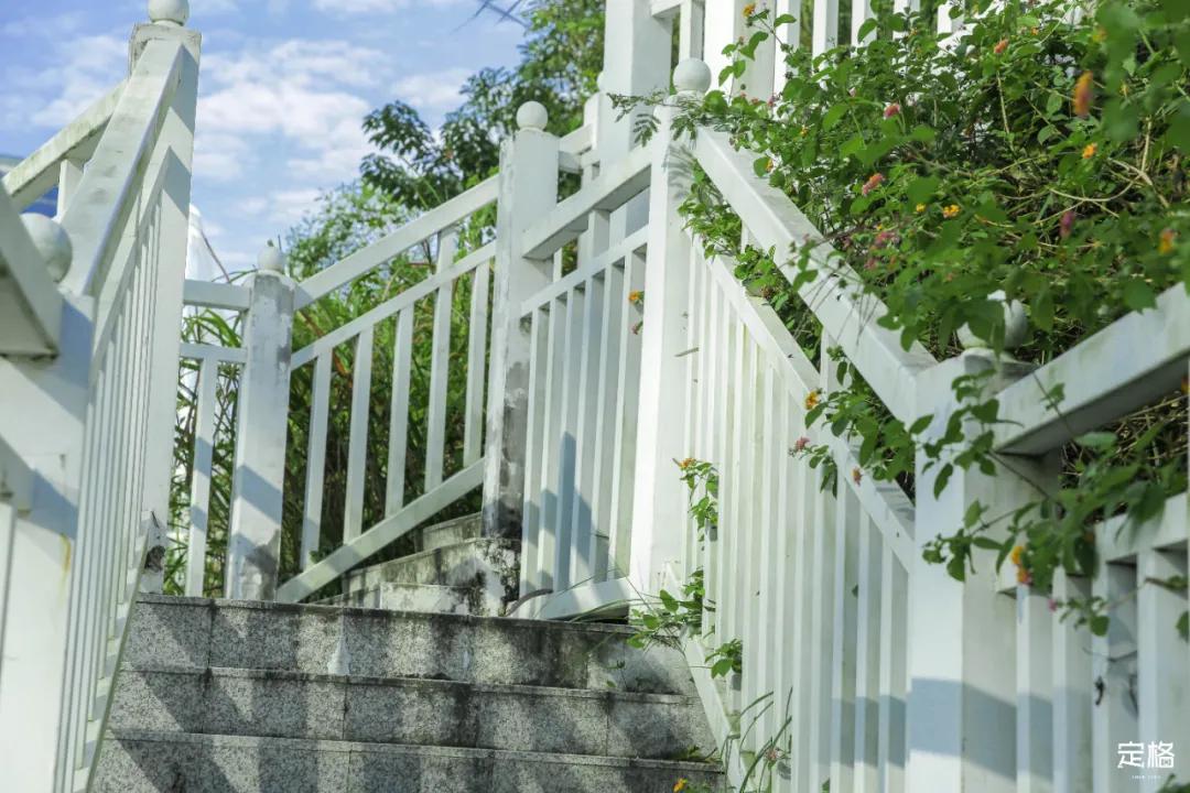 深圳百米长「纯白登山梯」，打卡绝了