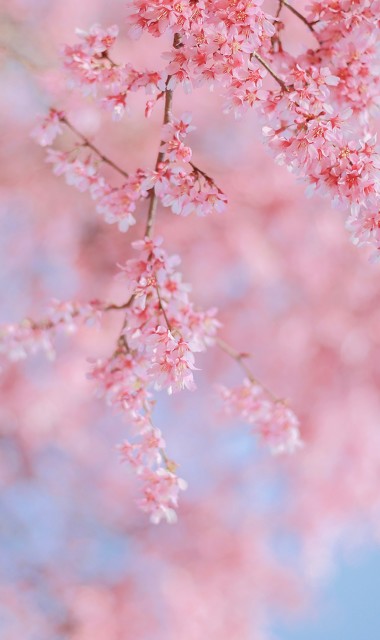 深处诡异梦境,想念孩子的父亲能不能回家?二十八