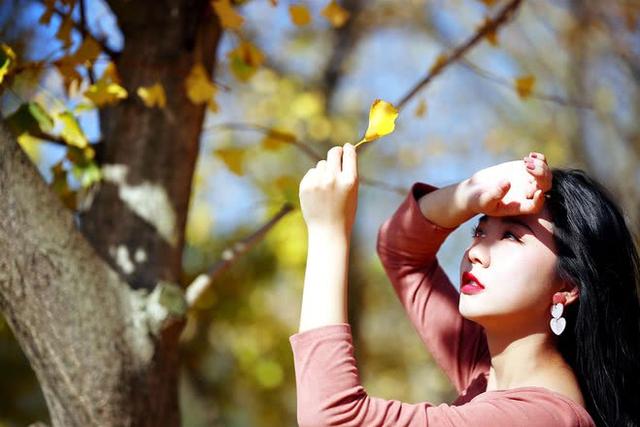 你若精彩天自安排作文600字,你若精彩天自安排作文800字