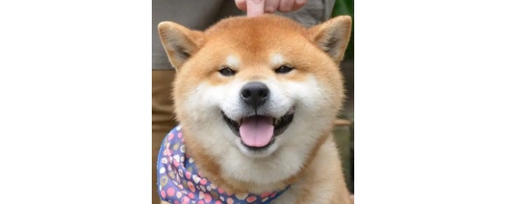 引起聊天欲望的头像,头像真的能引起别人的聊天欲望吗