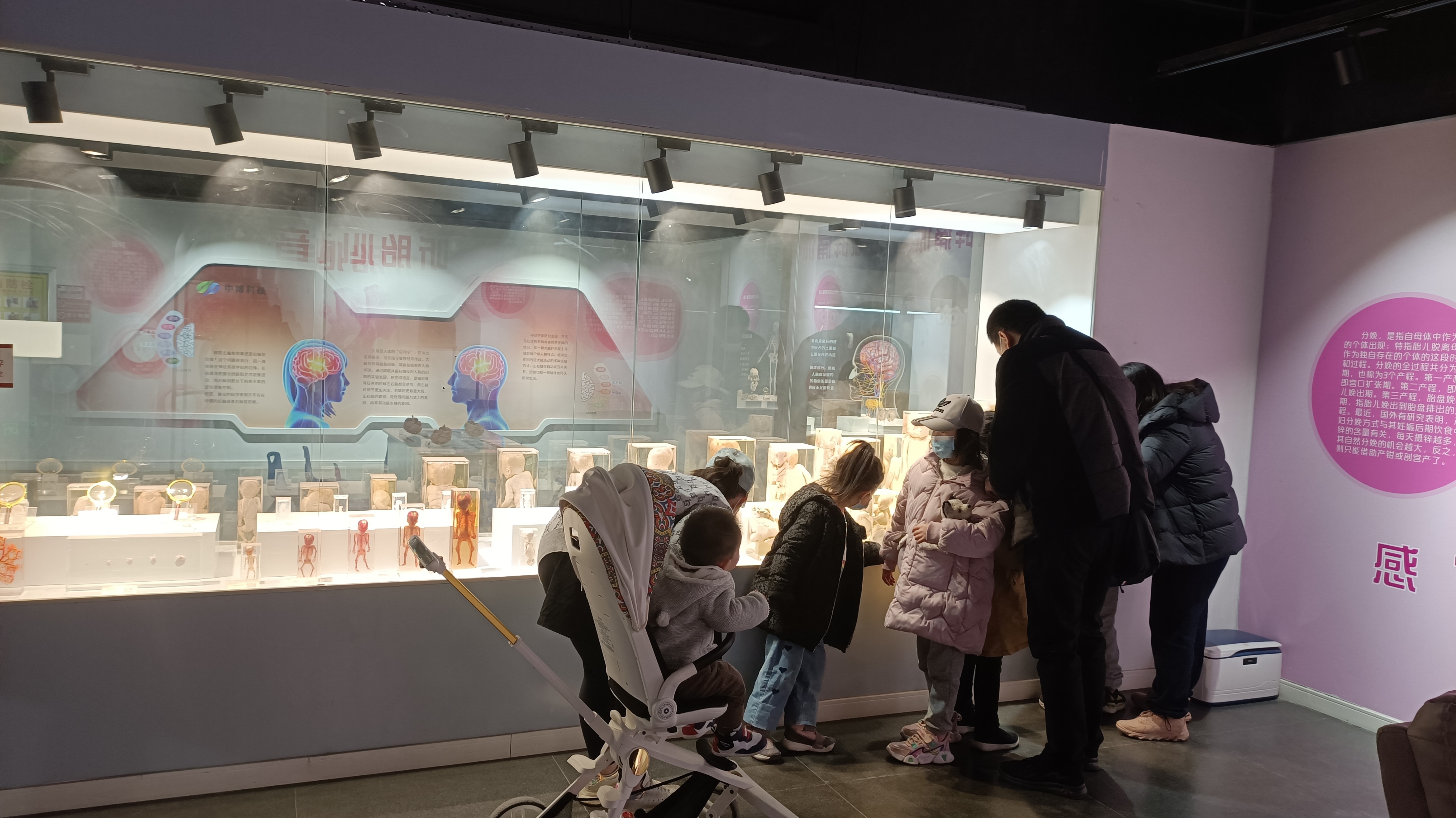 郑州踏青赏花全攻略,郑州最适合踏青赏花的地方