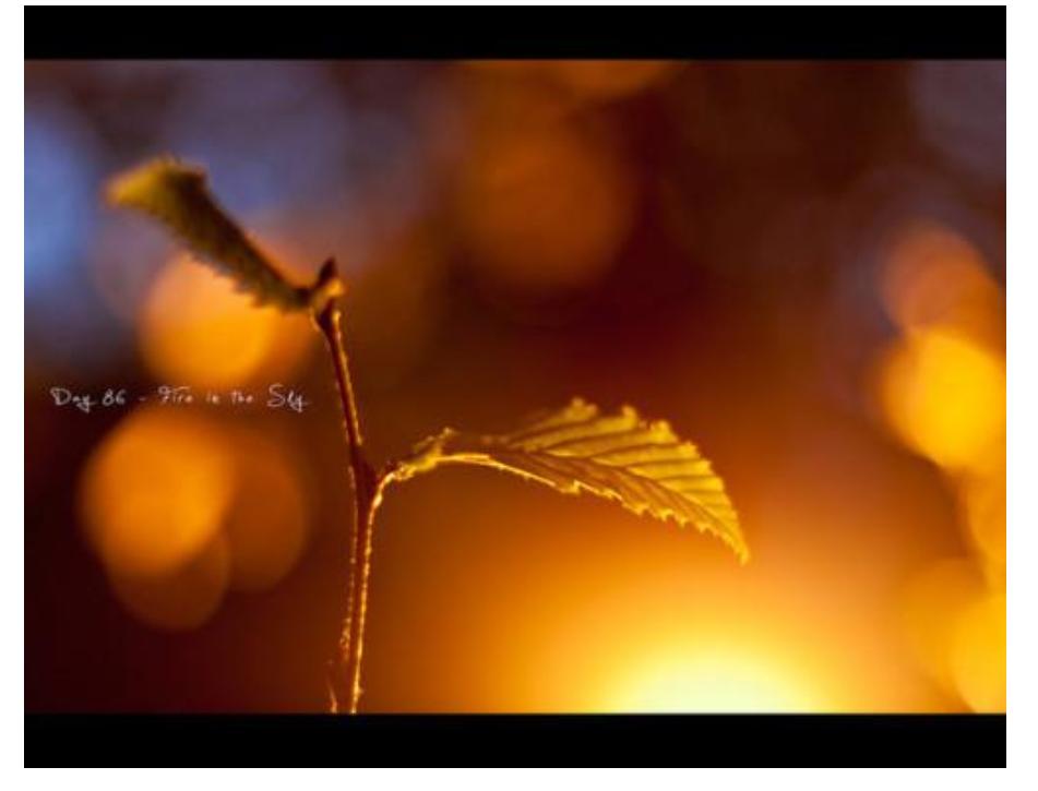 快速上手单反手动拍摄技巧,佳能单反手动m档怎么使用