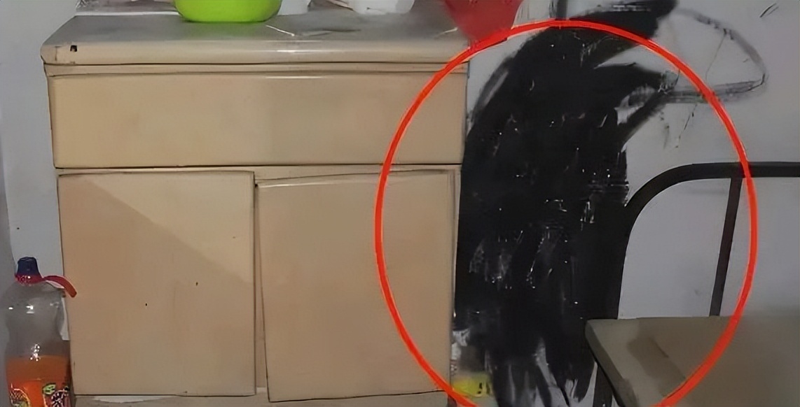 2013年山东济南拉杆箱抛尸案:一名“户籍注销人员”的情色末路