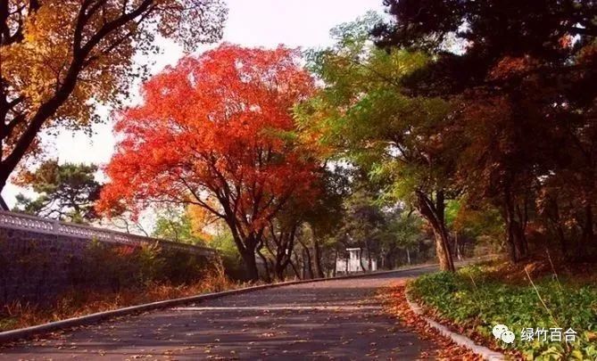 北戴河*警武**休疗院