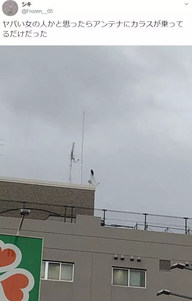 男朋友不小心将聊天记录投屏,和男朋友对话被投屏