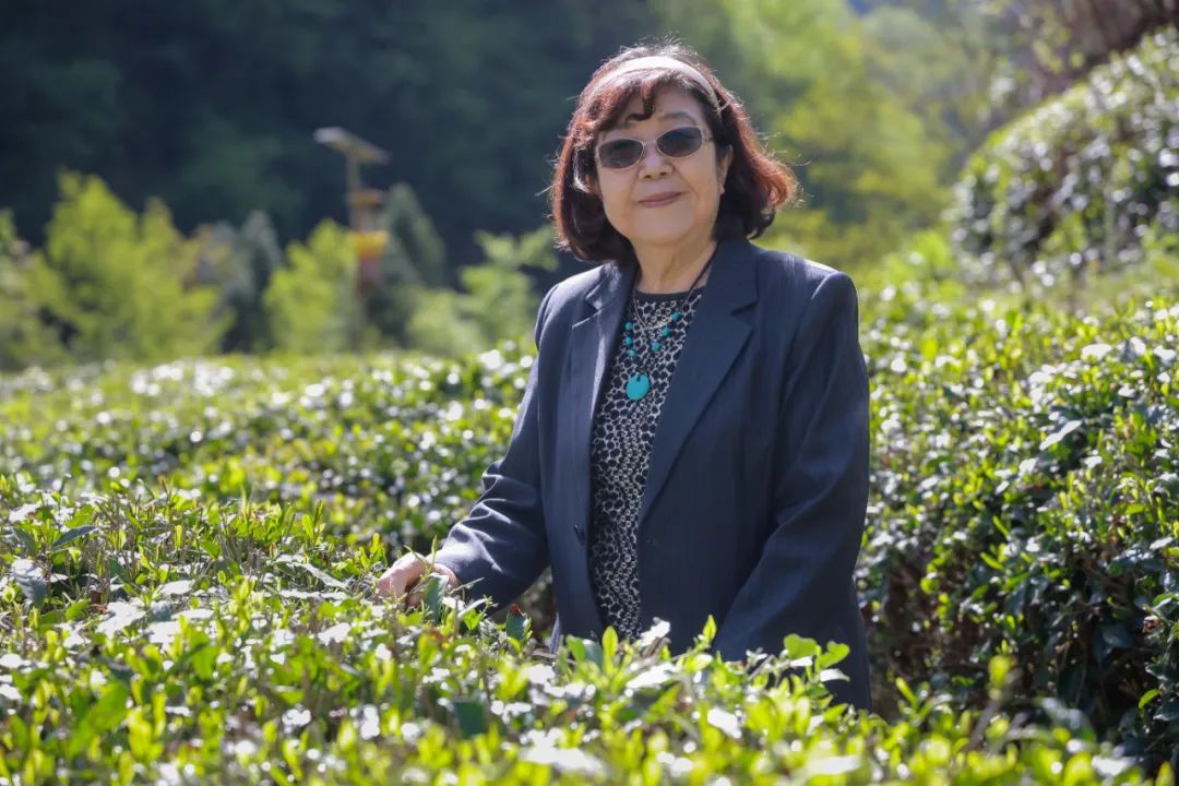 中国著名作家竹溪采风系列之八——竹溪三魅