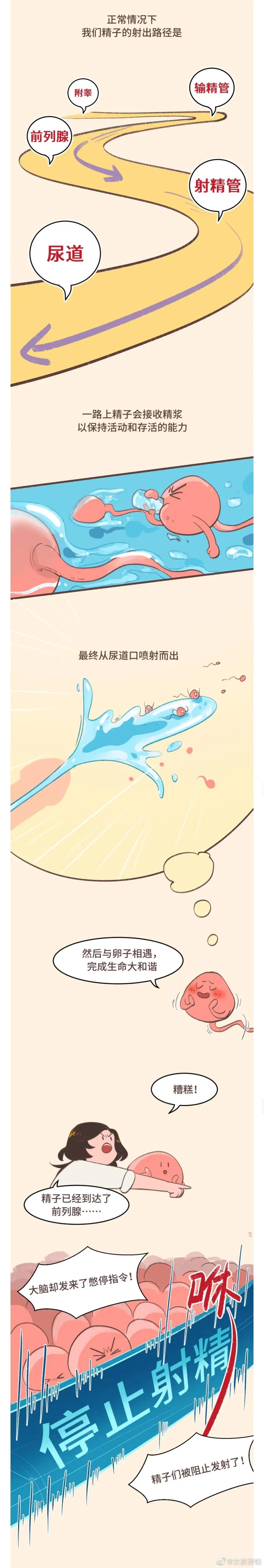 不*射内**会怀孕吗？夫妻们要留意了