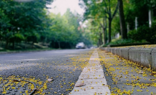 刘若英的后来唱出来多少人的心声,第一次听刘若英的后来