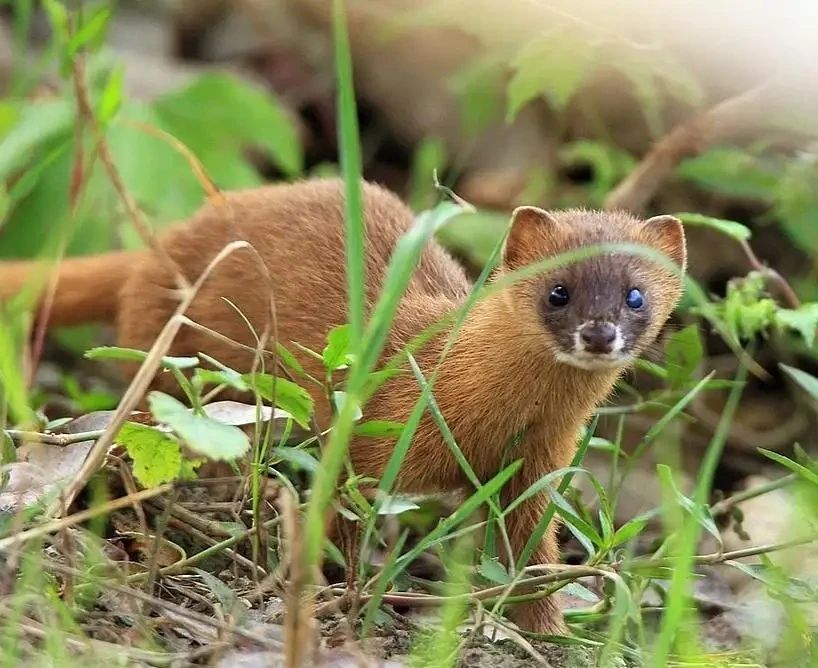 许昌的冬天有多冷,许昌的冬天会冷吗