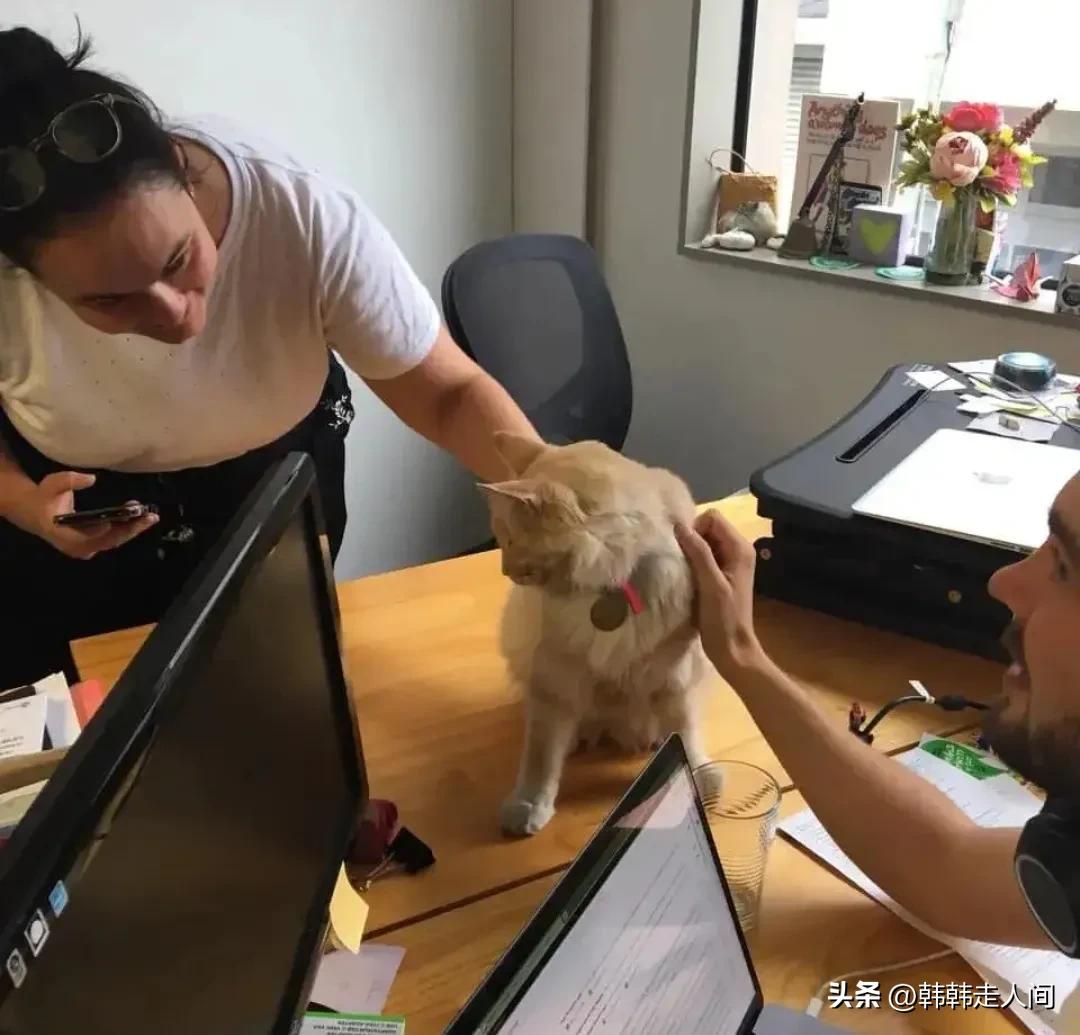 新西兰地球上最美的国度,新西兰地球独有的风景