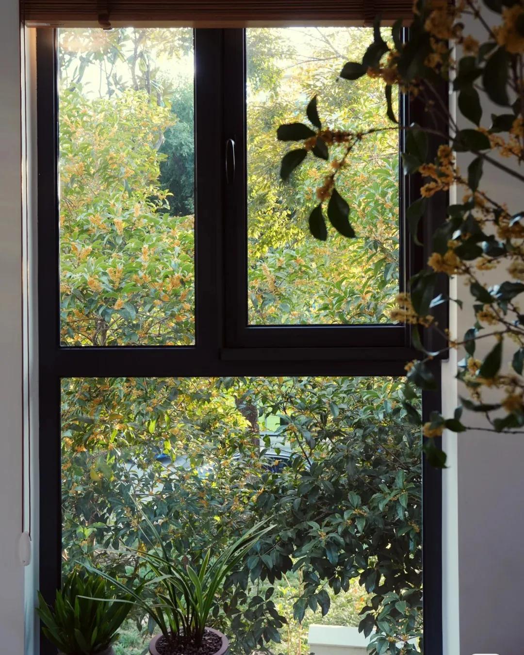 江苏发现一户人家太会装修而走红,安徽房屋室内装修隔断效果图