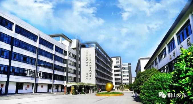 徐州铜山教师招聘人数统计,铜山教师招聘