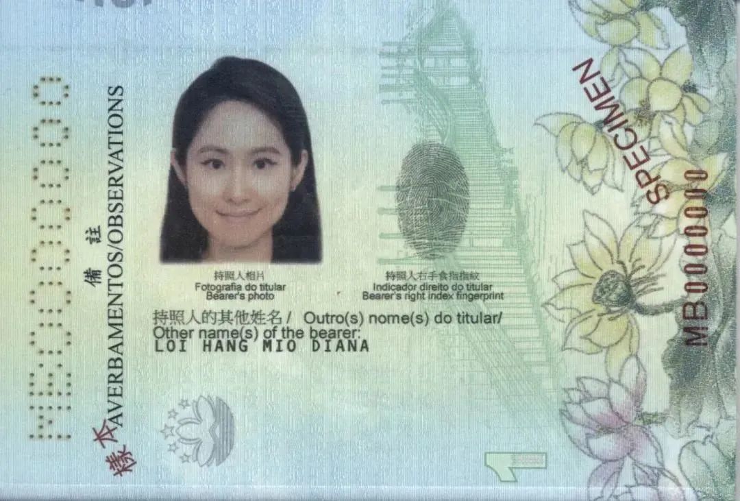 中国护照一般分为哪几种,中国护照有几种类型