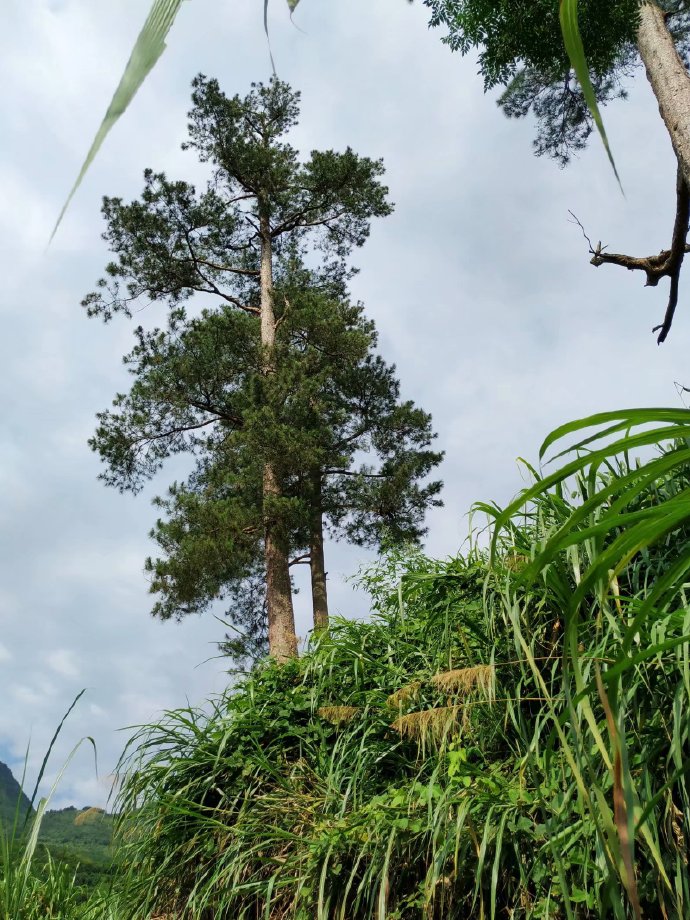 郴乐古道之水头江宜乐古道--广东省乐昌市庆云镇
