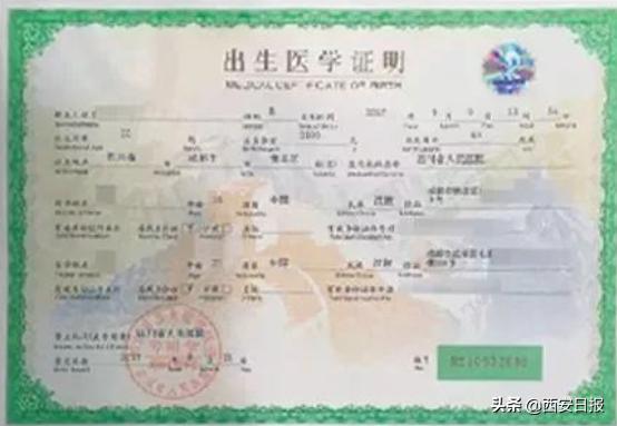 网上怎么开通社保卡服务,办理社保卡网上服务需要什么